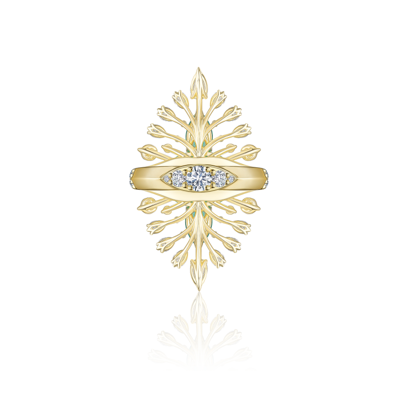 R35-FD-003-5 Кольцо (750)