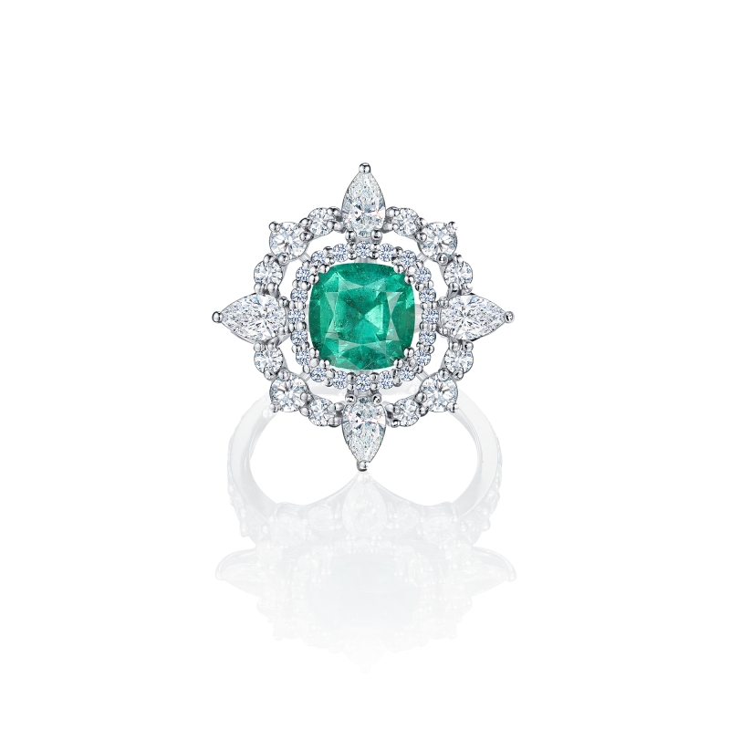 R04-C-003-6 Кольцо (750)