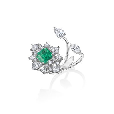 R43-FD-003-6 Кольцо (750)