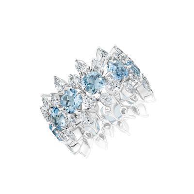 R07-C-004-6 Кольцо (750)